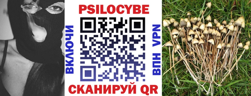Галлюциногенные грибы Magic Shrooms  Афипский 