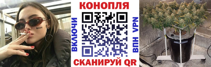 Бошки марихуана THC 21%  Афипский 